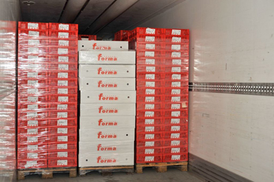 Forma - Carni secondo natura